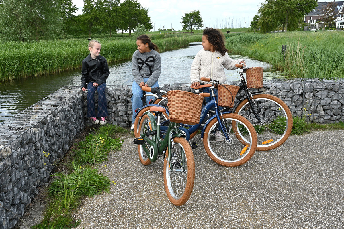 Volare Ashley Kinderfiets - Meisjes - 24 inch - Groen 24 inch (detail)