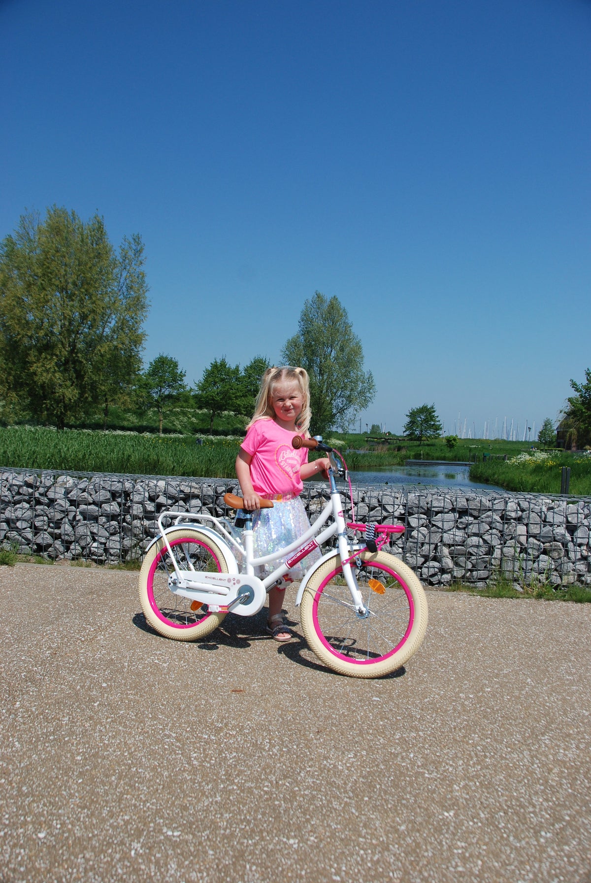 Volare Excellent Kinderfiets - Meisjes - 18 inch - Mat Roze - 95% afgemonteerd 18 inch (detail)