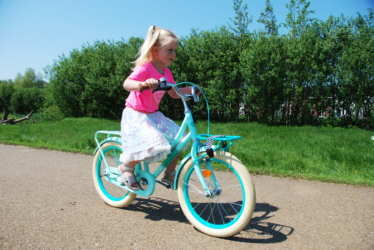 Volare Excellent Kinderfiets - Meisjes - 20 inch - Mat Roze 20 inch (detail)