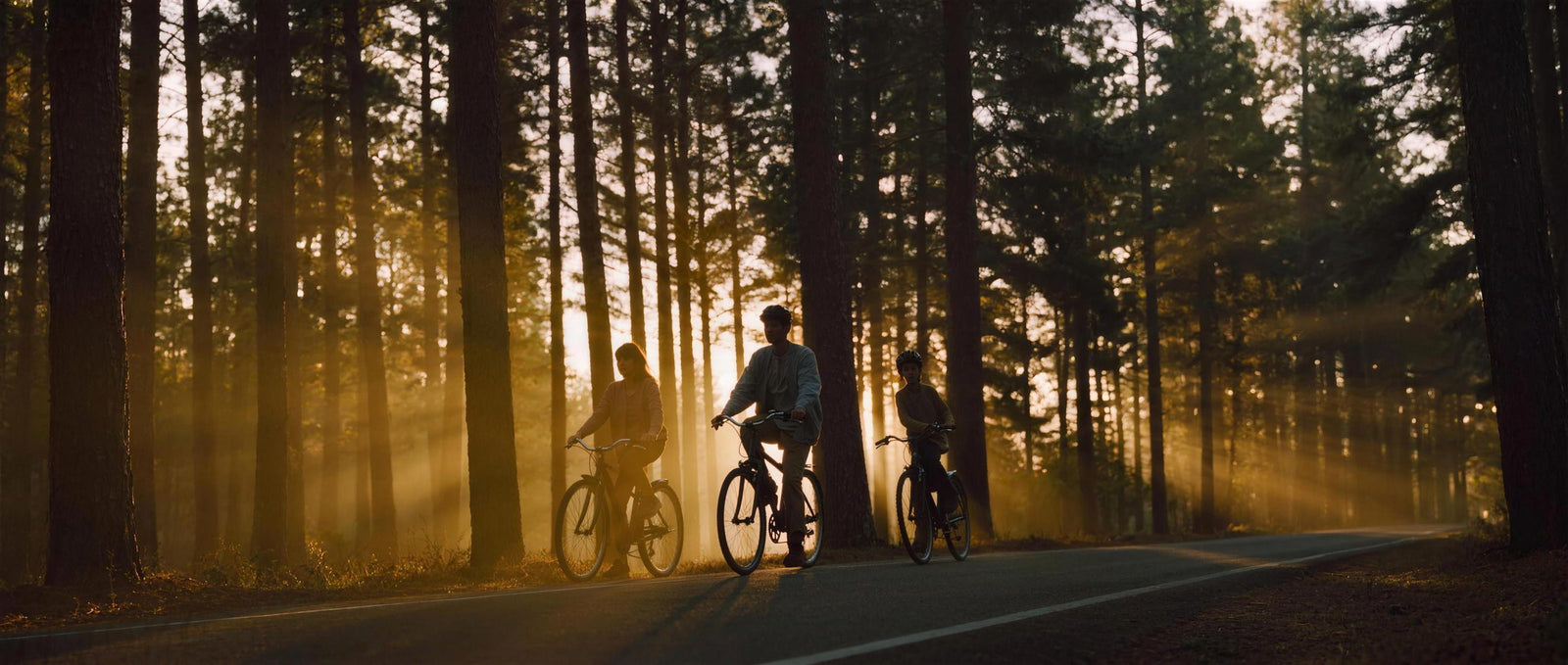 Gezin fietst in silhouet door gouden avondzon over een bospad tussen hoge bomen